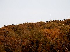 DSCN3873
