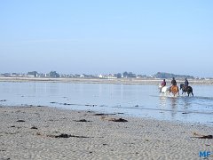 DSCN3906