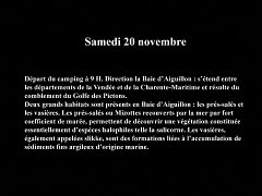 5-Samedi 20 novembre