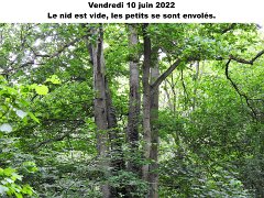 Le 10 juin
