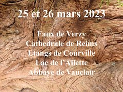 25- mars