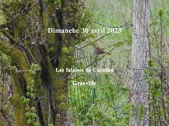 5-dimanche 30 Avril