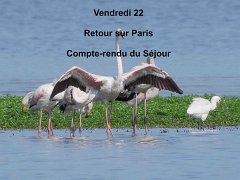 8-vendredi-22