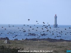 DSCN4507