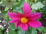 DSCN1605