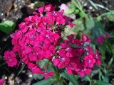 DSCN1621