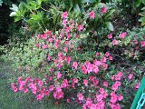 DSCN1631