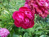 DSCN1635