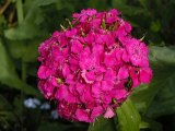 DSCN1638