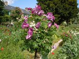 DSCN1640