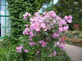 DSCN1644