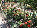 DSCN1645