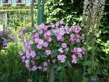 DSCN1647