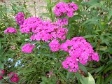 DSCN1651