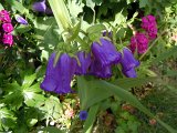 DSCN1652