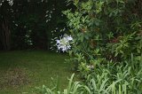 IMG_9956