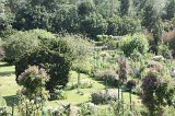 IMG_9970