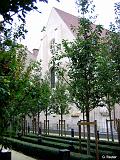 DSCN0269