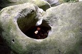 DSCN6813