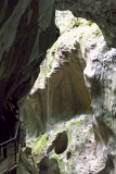 DSCN6818