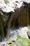 DSCN6821