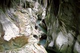 DSCN6823