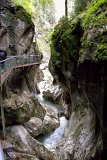 DSCN6824