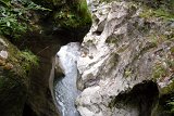 DSCN6828