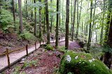 DSCN6831