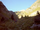 DSCN6871