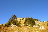 DSCN6878
