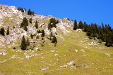 DSCN6879