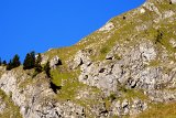 DSCN6882