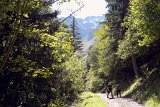 DSCN6907