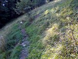 DSCN6924