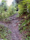 DSCN6928