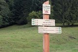 DSCN6931
