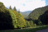 DSCN6935