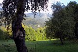 DSCN6936