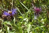 DSCN6961