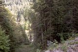 DSCN7008
