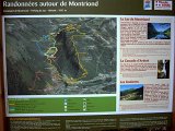 DSCN7011