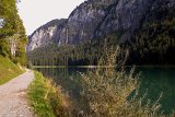 DSCN7017
