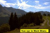 DSCN7074