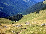 DSCN7128b