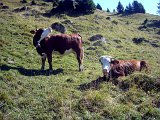 DSCN7141b