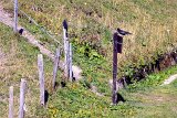DSCN7163