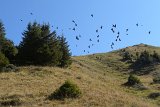DSCN7167