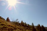 DSCN7168