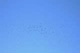 DSCN7172